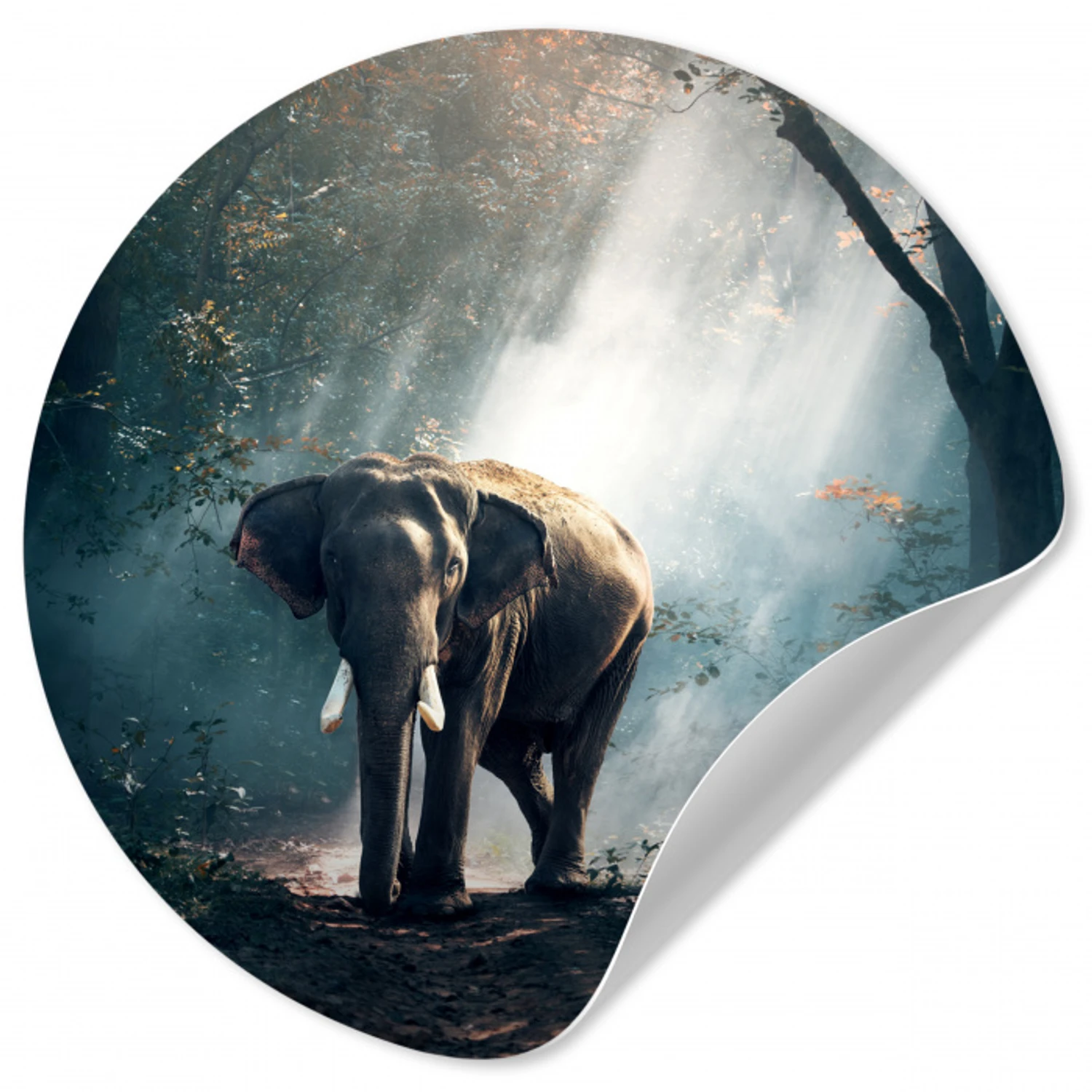 Olifant - Dieren - Licht - Bos - Natuur - Wilde dieren Wandcirkel behangsticker klein -3d