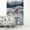 Riet - Gras - Natuur - Winter - Meer fotobehang vinyl groot -woonkamer