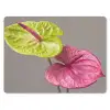 Planten - Anthurium - Groen - Roze muismat rubber klein -3d