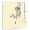 Illustratie - Zwart - Roos plexiglas 5mm klein -zzzproduct_nieuw