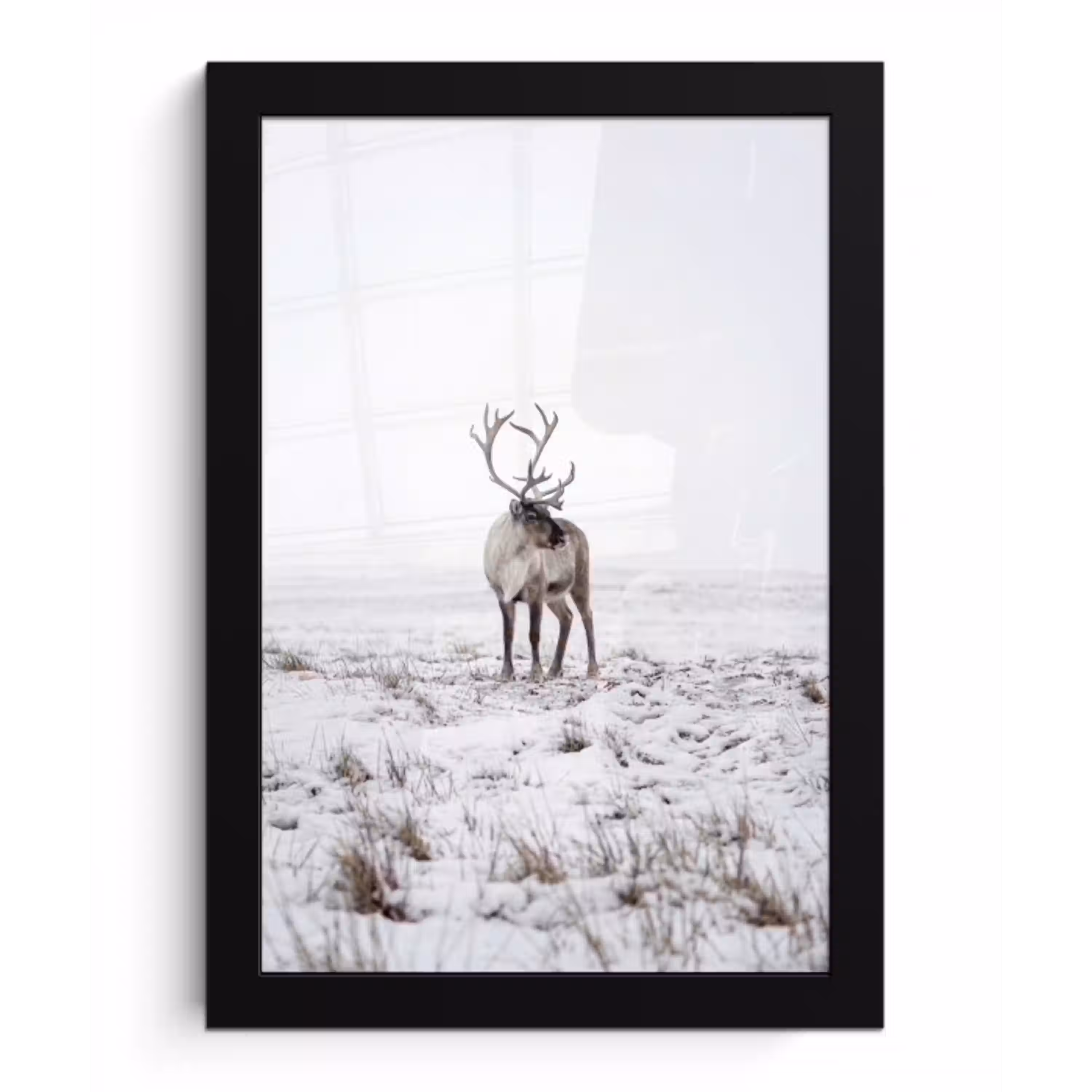 Rendier - Gewei - Sneeuw - Winter fotolijst zwart zonder passe partout klein -3d