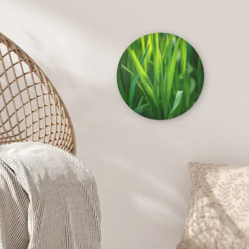 Grassprieten - Lichtinval - Groen Akoestische PET Vilt - Rond klein -sfeer4