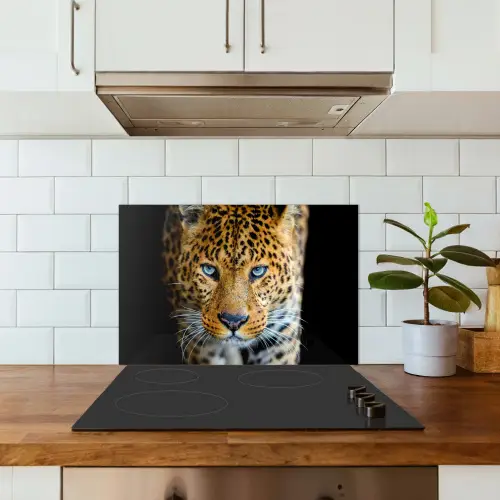 Luipaard - Dieren - Portret - Wilde dieren - Zwart keuken achterwand spatscherm klein -sfeer2