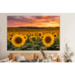 Zonnebloemen - Heuvellandschap - Geel forex 5mm xxl -bovenbank