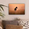 Paard - Grasveld - Zonsondergang canvas 2cm klein -sfeer1