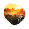Koeien - Zonsondergang - Weiland - Dieren Wandcirkel Organisch Forex 3mm klein -3d