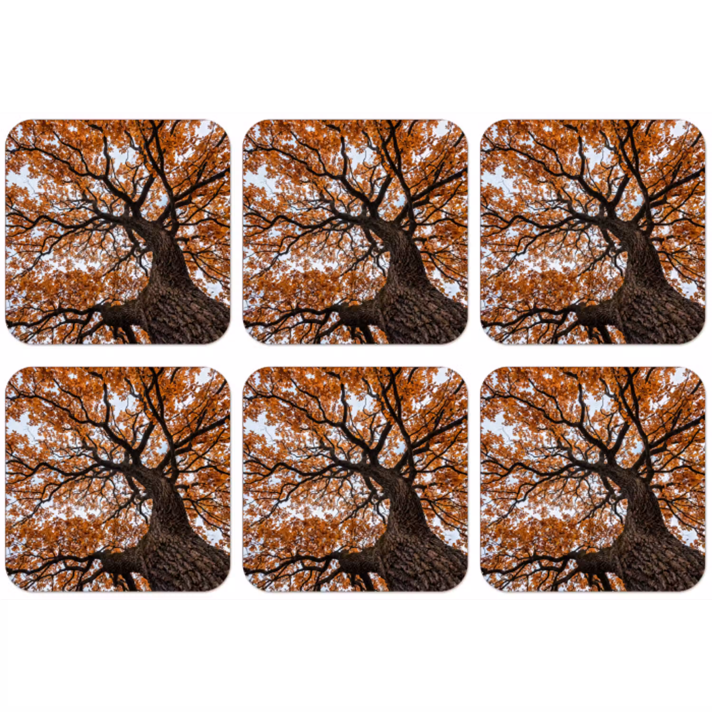 Boom - Bladerdak - Herfst - Oranje - Sfeervol onderzetter kurk middel -zkaufland3dotto