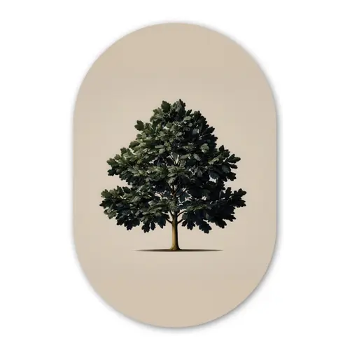 Eikenboom - Schaduw - Egaal Wandcirkel Ovaal Forex klein -3d