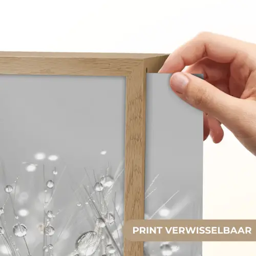 Paardenbloem - Waterdruppels - Stilleven - Modern Light Box met batterij (Wandlamp) middel -USP_websiteprintNL