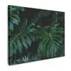 Monstera -  Inductie beschermer - Bladeren - Tropical - Afdekplaat voor kookplaat canvas 2cm klein -z3d