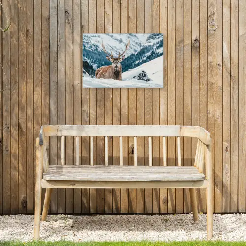 Hert - Landschap - Winter - Natuur - Dieren - Bergen Tuinposter op houten frame 2 cm dik klein -sfeer4