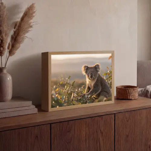 Koala - Bladeren - Ochtendlicht Light Box met batterij (Wandlamp) middel -sfeer2