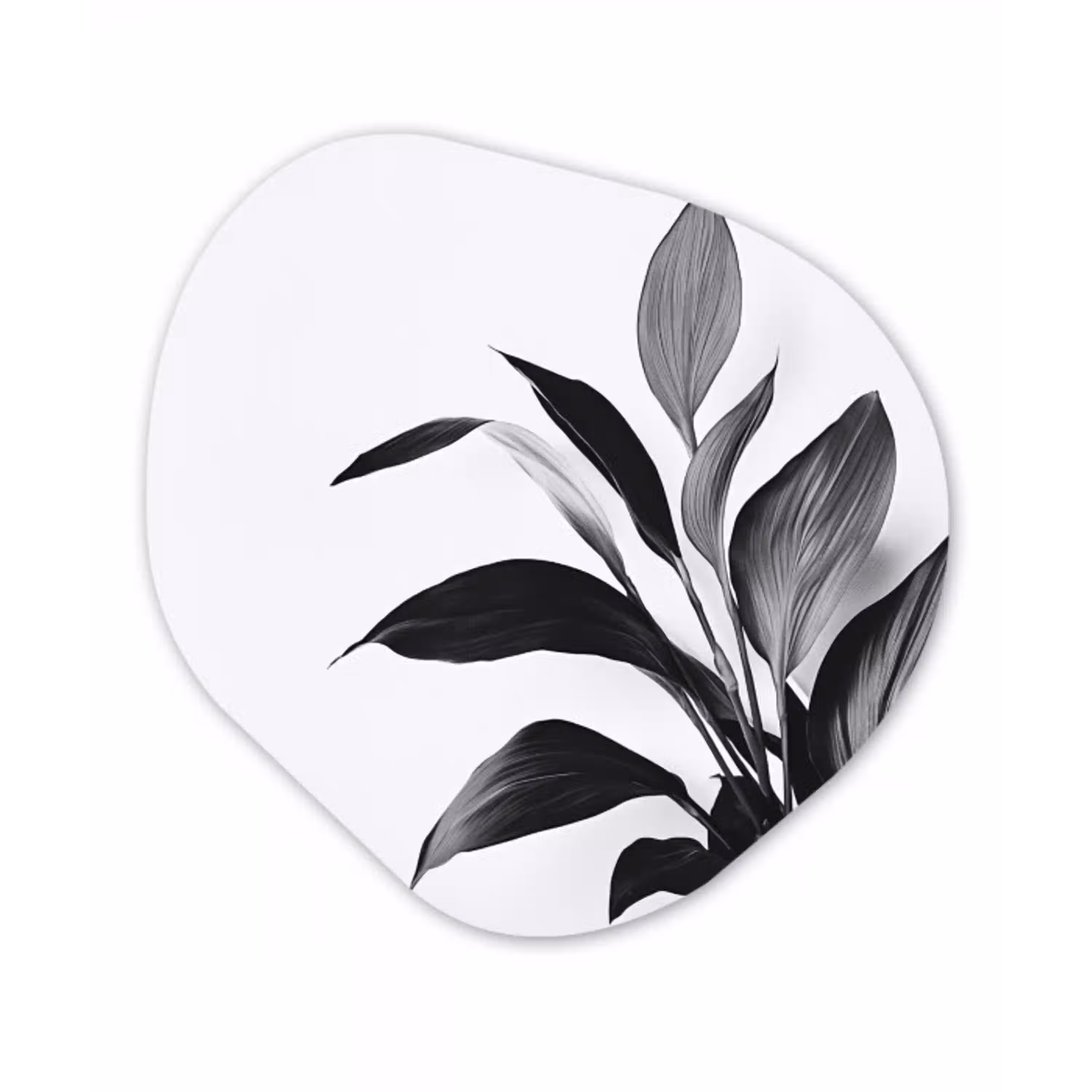 Plant - Bladeren - Minimalistisch - Zwart Wandcirkel Organisch Plexiglas middel -3d