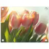Tulpen - Roze - Zonnestralen tuinposter los doek klein -3d