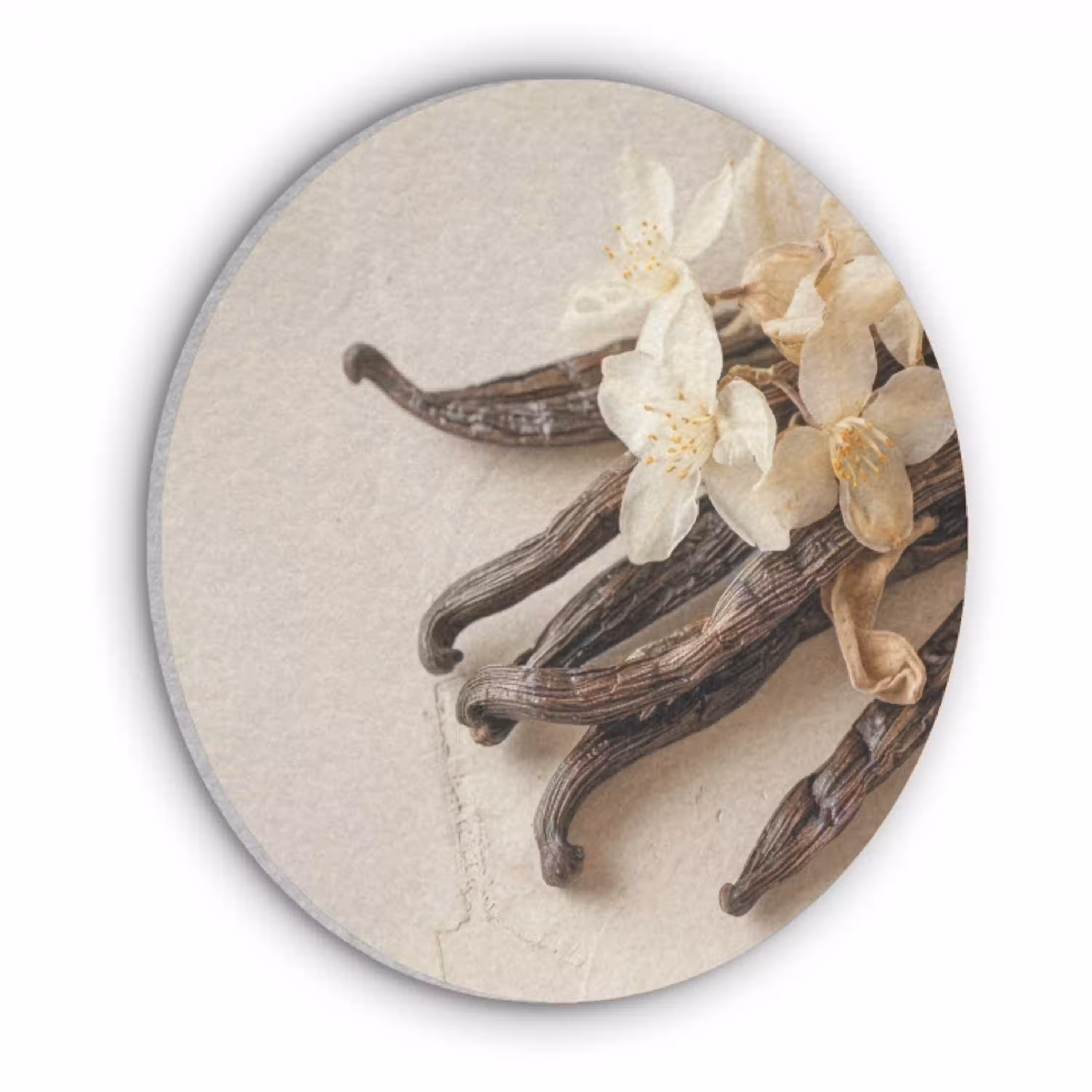 Vanille - Bloemen - Beige Akoestische PET Vilt - Rond klein -3d