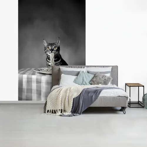 Bengaal - Kat - Tafelkleed - Zwart - Wit - Dier fotobehang vinyl groot -slaapkamer
