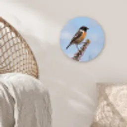 Roodborsttapuit - Heide - Paars - Natuur - Sfeervol Wandcirkel kunststof plaat 5mm dik klein -sfeer5