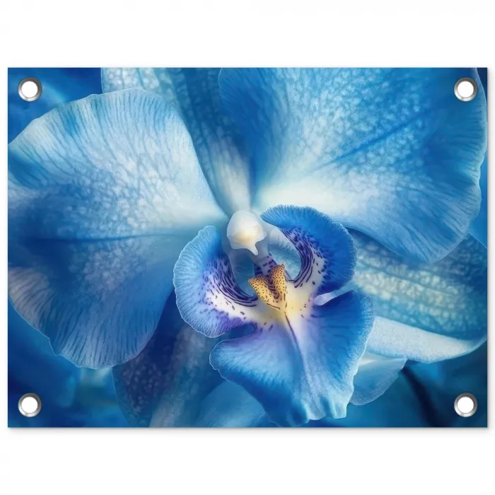 Blauw - Orchidee - Elegeant tuinposter los doek klein -3d