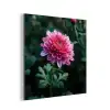 Blad - Chrysant - Roze - Schaduw aluminium wit klein -3d