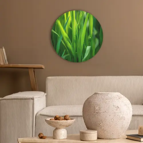 Grassprieten - Lichtinval - Groen Akoestische PET Vilt - Rond klein -sfeer1