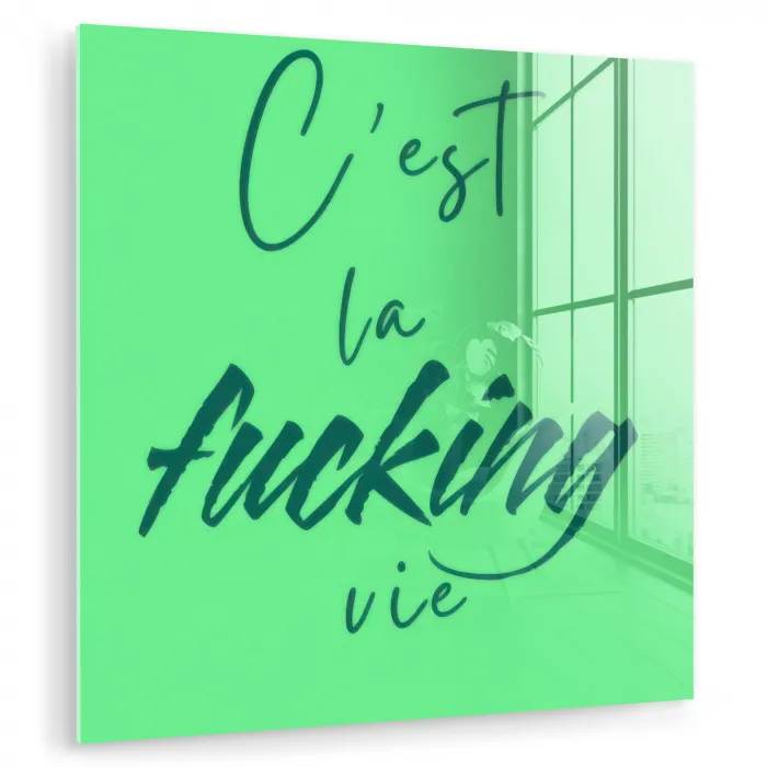 c'est la fucking vie - Groen - Penseelstijl plexiglas 5mm klein -zzzproduct_nieuw