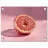 Grapefruit - Roze - Disco - Shiny tuinposter los doek klein -3d