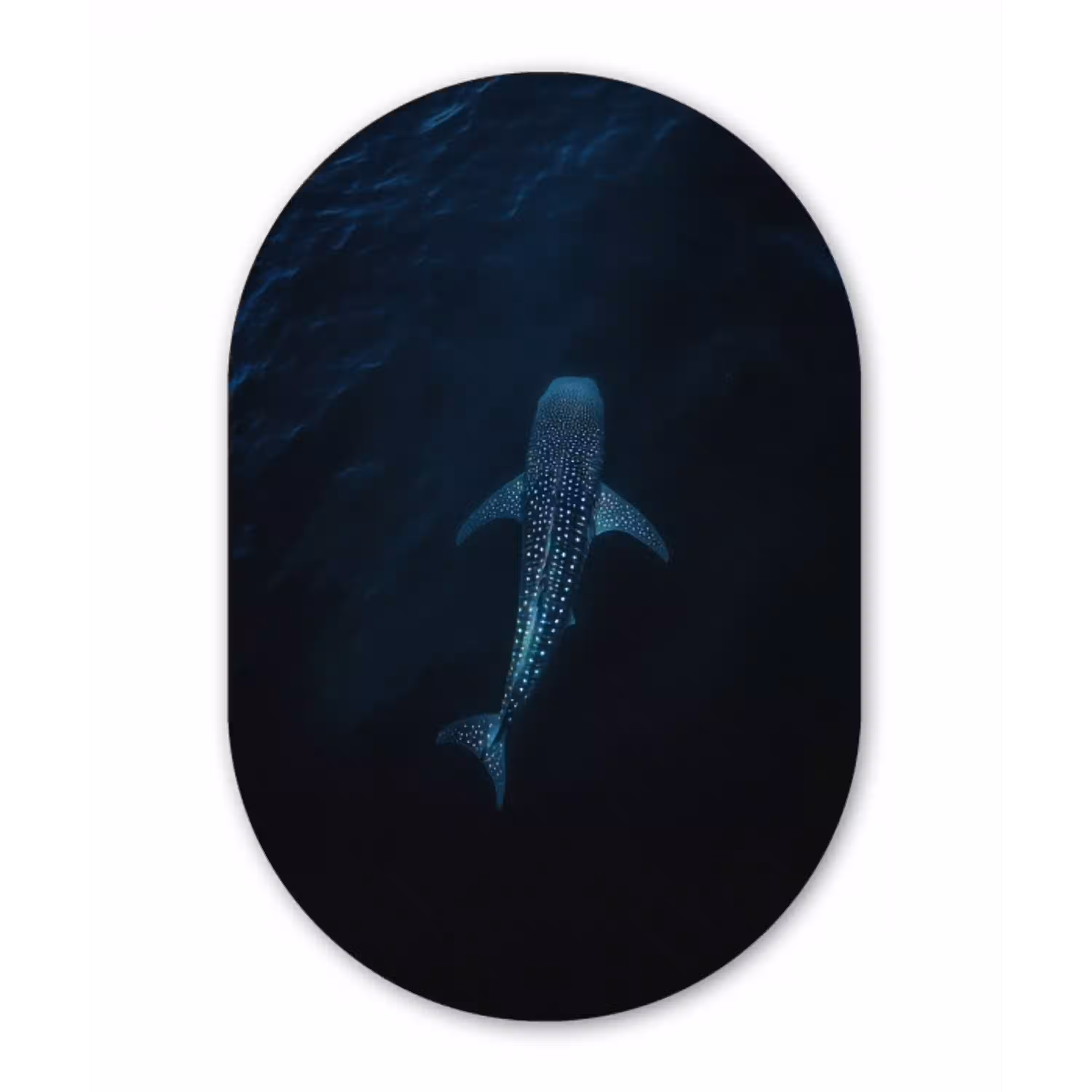 Oceaan - Walvishaai - Donkerblauw - Vlekken Wandcirkel Ovaal Glas middel -3d