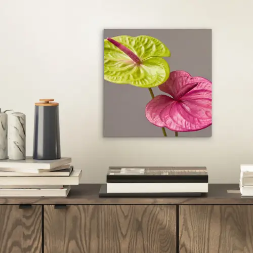 Planten - Anthurium - Groen - Roze aluminium wit klein -sfeer1
