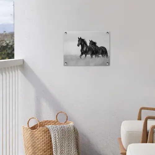 Paarden - Gras - Zwart - Wit tuinposter los doek klein -sfeer8