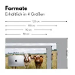 Koeien - Portret - Weide - Boerderij - Nieuwsgierig Muismat XXL klein -ysfeer5_duits