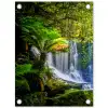 Waterval in het Regenwoud tuinposter los doek klein -3d