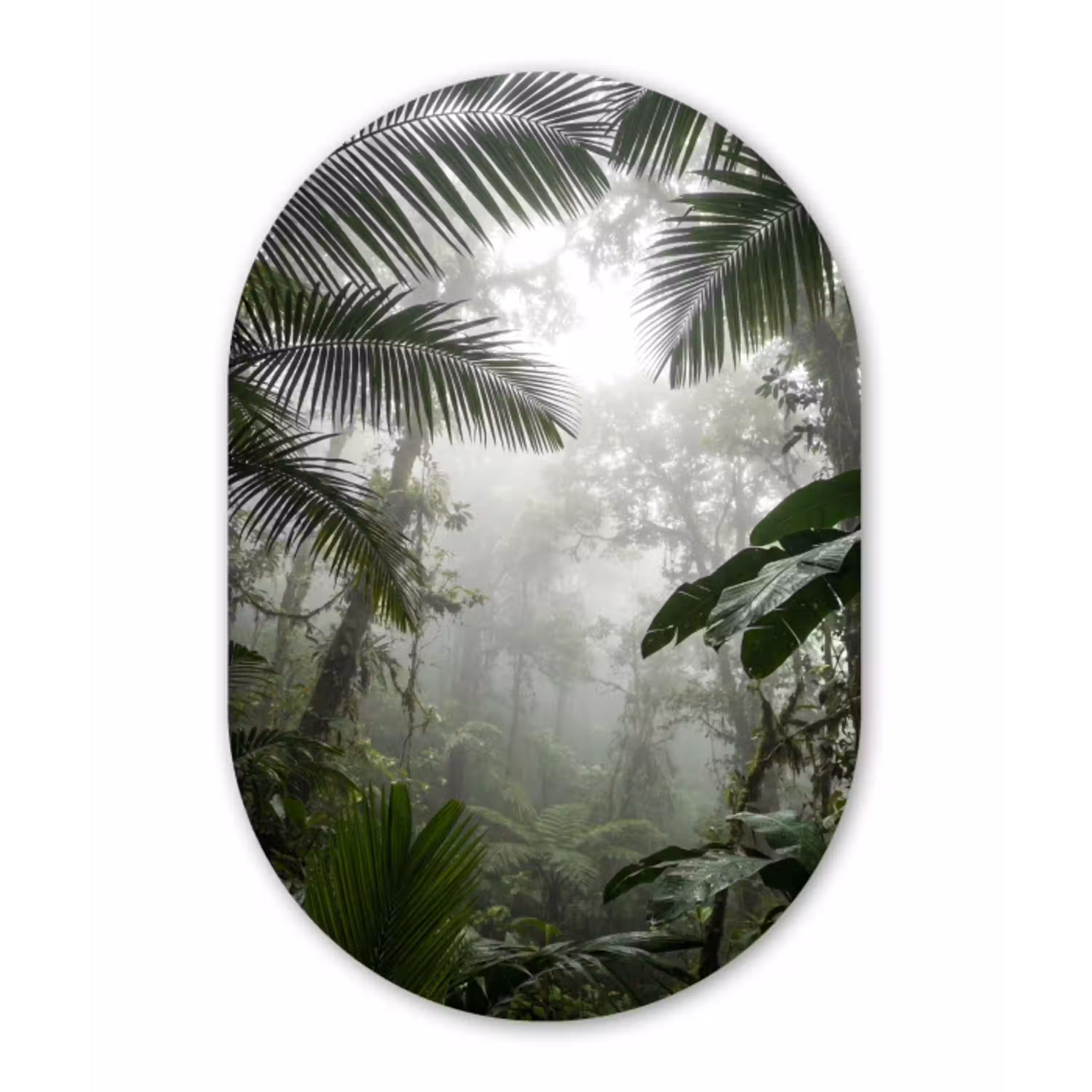 Natuur - Jungle - Mist - Groen - Bladeren Wandcirkel Ovaal Aluminium middel -3d