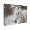 Paard - Wit - Winter - Natuur - Sneeuw - Dieren canvas 2cm klein -z3d
