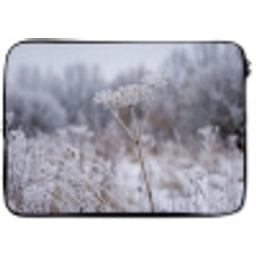 Schermbloem - Rijp - Kristallen - Winter - Delicaat laptophoes neopreen klein -zkaufland3dotto