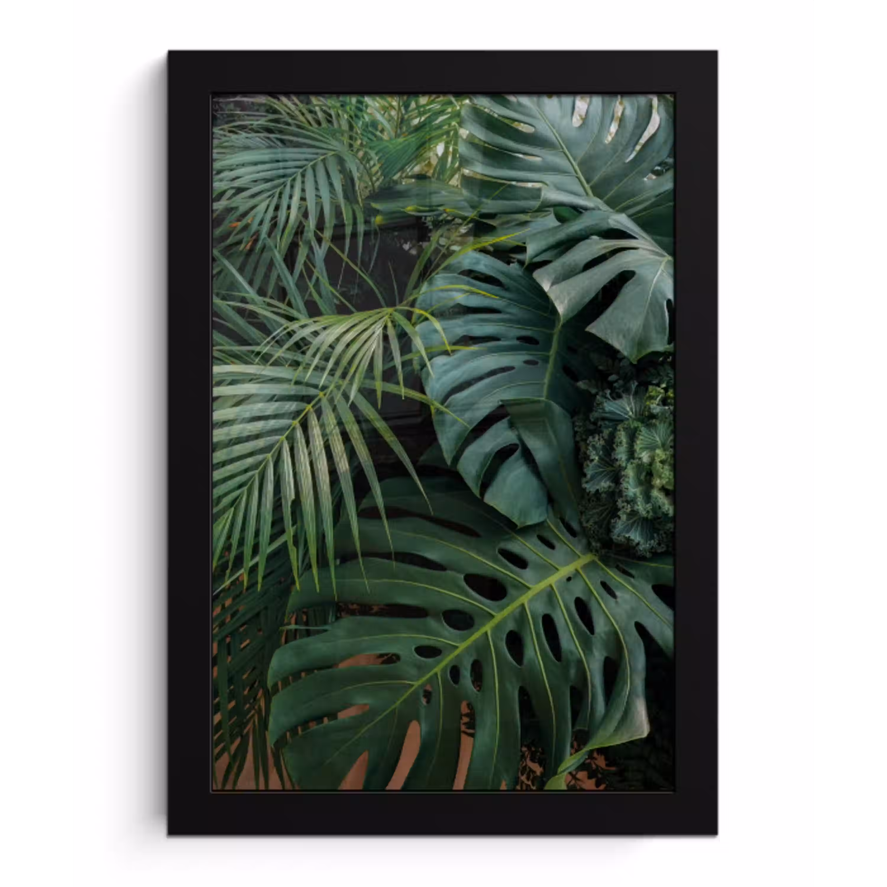 Planten - Jungle - Bladeren - Tropisch fotolijst zwart zonder passe partout klein -3d