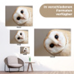 Uil - Bruin - Wit tuinposter los doek klein -Xsfeer9_DE