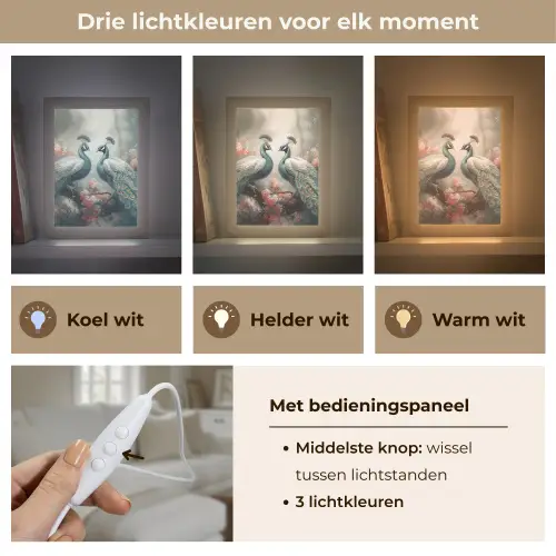 Pauwen - Pauwenveren - Vogels - Bloemen - Natuur Light Box met kabel (Tafellamp) klein -USP_lichtkleurNL