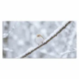 Vogeltje - Sneeuw - Tak - Winter - Zacht Muismat XXL klein -3d_leeg
