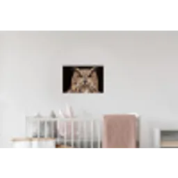 Oehoe - Uil - Portret - Bruin Muursticker klein -kinderkamer