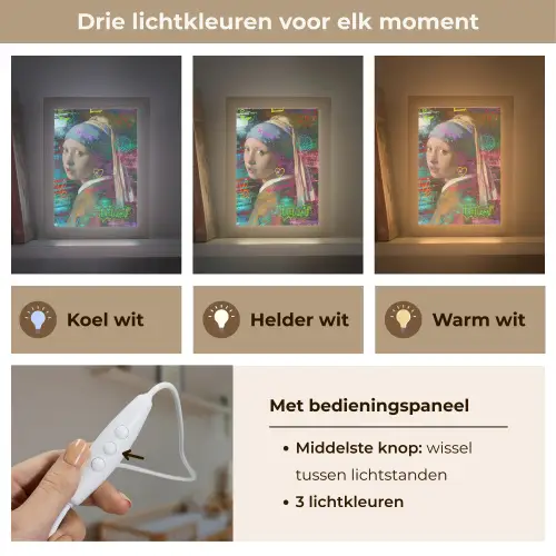 Meisje met de parel - Johannes Vermeer - Neon Light Box met kabel (Wandlamp) klein -USP_lichtkleurNL