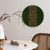 Slang - Boa - Groen - Bruin Wandcirkel plexiglas klein 852 -sfeer4