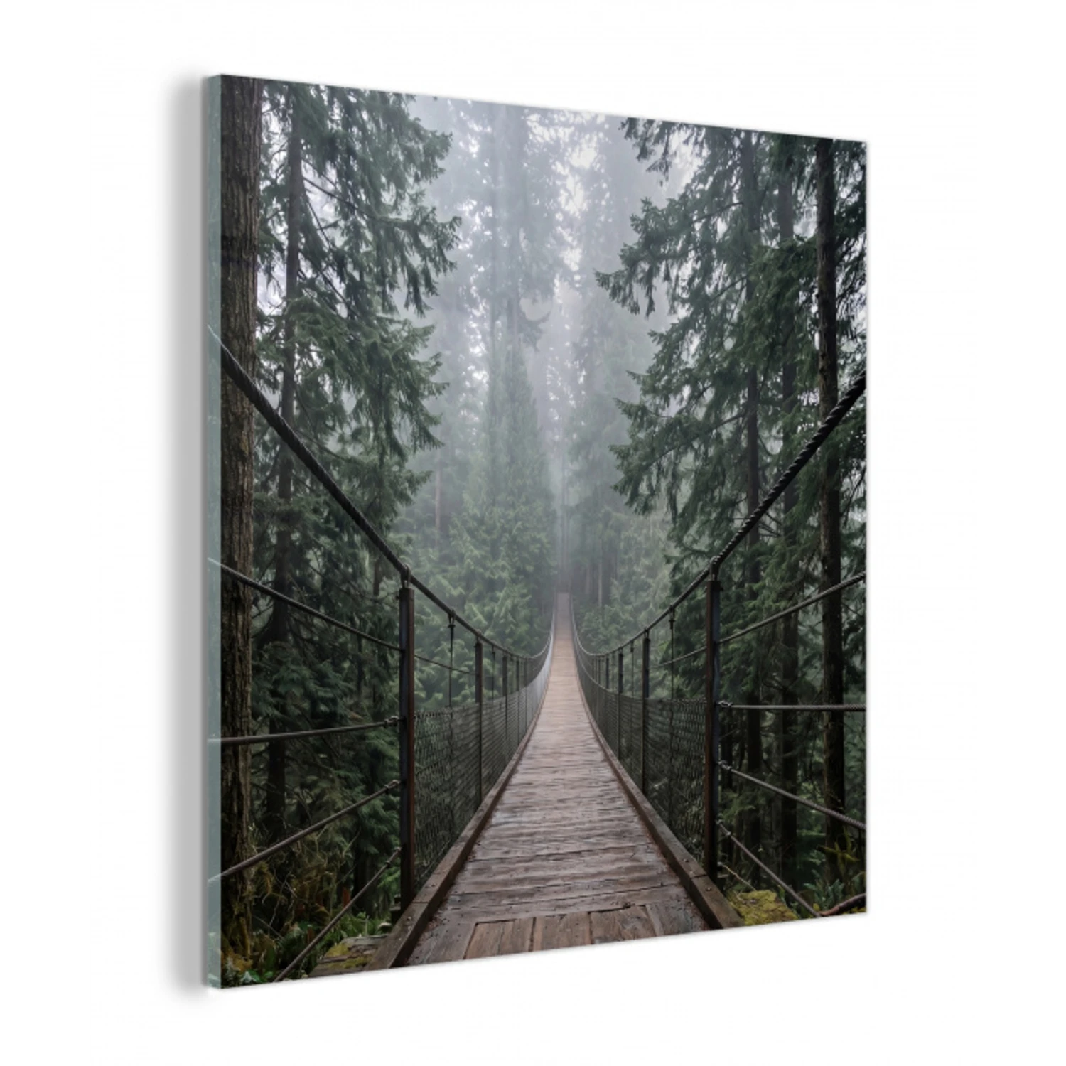 Brug - Bos - Mist - Natuur plexiglas 5mm klein -z3d