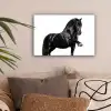 Fries - Hengst - Modern canvas 2cm klein -sfeer1