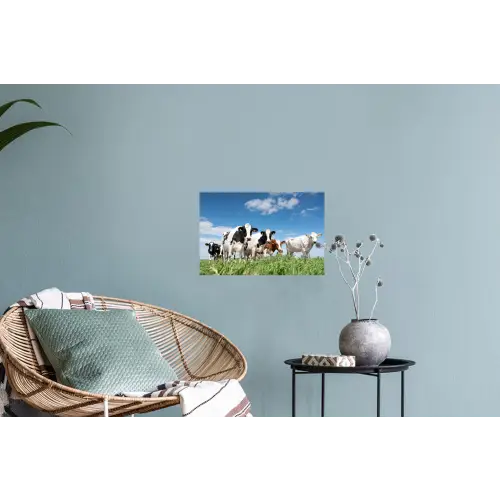 Koeien - Platteland - Weiland - Natuur - Dieren Muursticker klein -plant