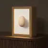 Ei - Beige - Ovaal - Egaal Light Box met kabel (Tafellamp) klein -z3d_website