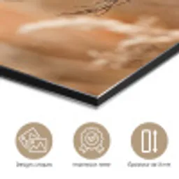 Schermbloem - Droogbloem - Winter - Beige - Minimalistisch aluminium wit klein -closeup_FR
