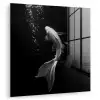 Koi - Vis - Wit - Zwart plexiglas 5mm klein -zzzproduct_nieuw