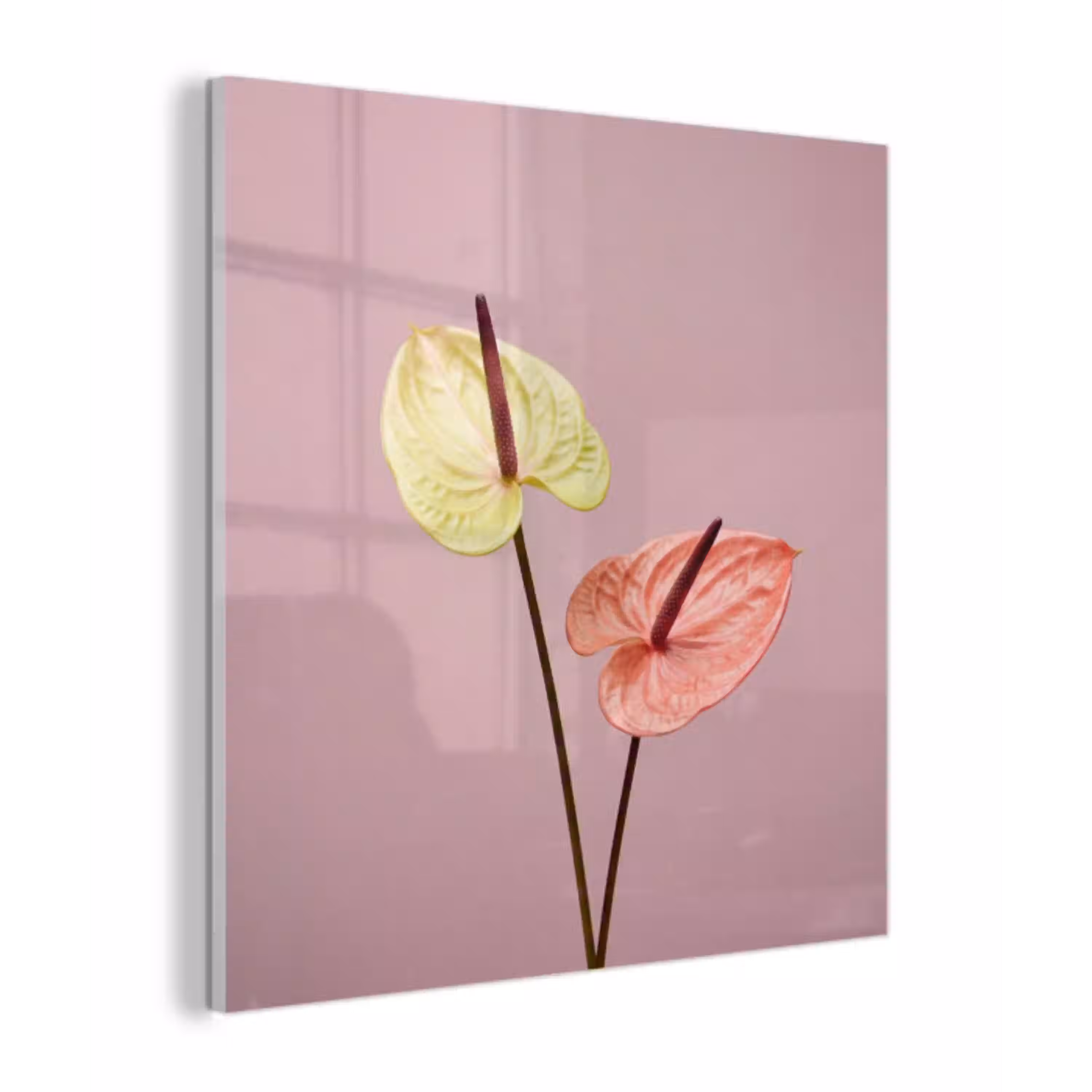 Bloemen - Anthuriums - Geel - Roze plexiglas 5mm klein -z3d