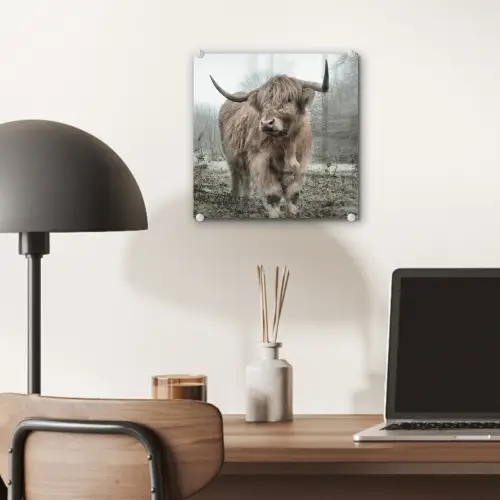 Schotse hooglander - Natuur - Herfst - Dieren - Wild - Bos plexiglas 5mm klein -sfeer6