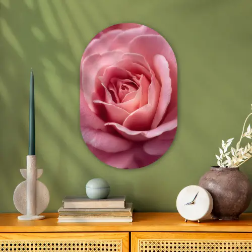 Roze - Roos - Romantisch Wandcirkel Ovaal Forex klein -sfeer2